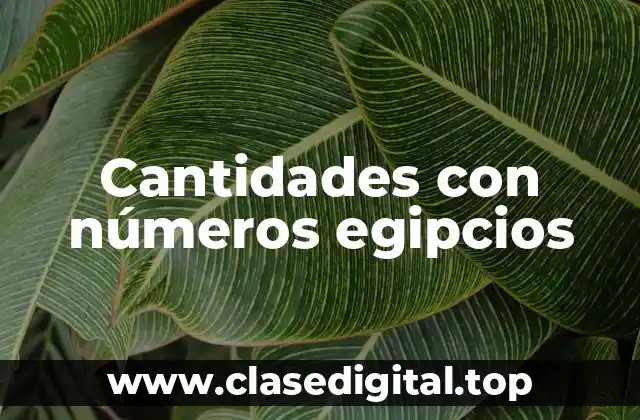 Cantidades con números egipcios