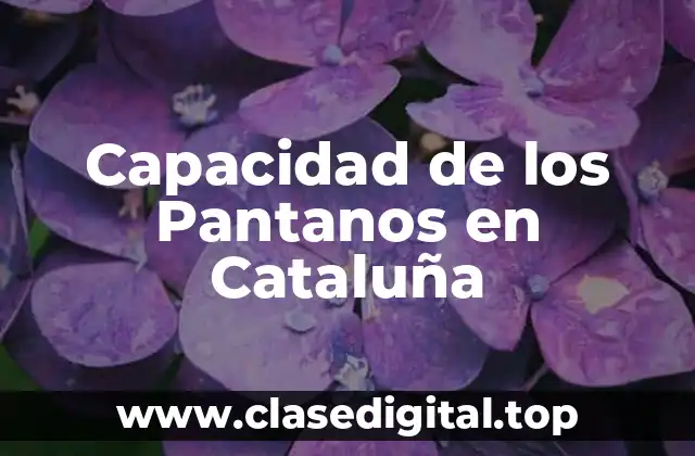 Capacidad de los Pantanos en Cataluña