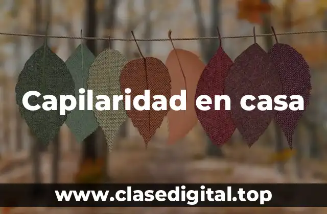 Capilaridad en casa