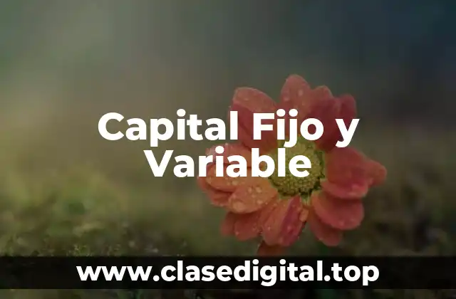 Capital Fijo y Variable