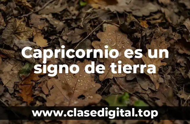 Capricornio es un signo de tierra