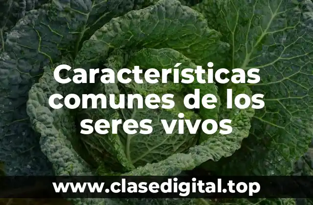 Características comunes de los seres vivos