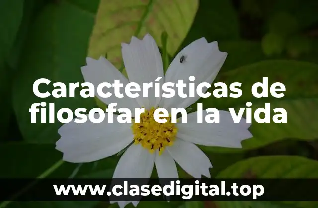 Características de filosofar en la vida