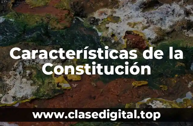 Características de la Constitución