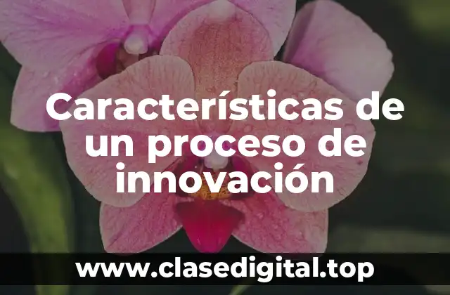 Ejemplos de procesos de innovación