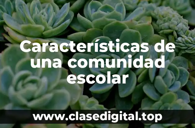 Características de una comunidad escolar
