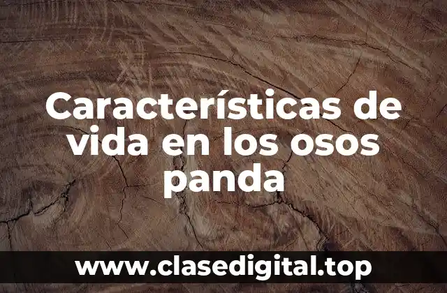 Características de vida en los osos panda