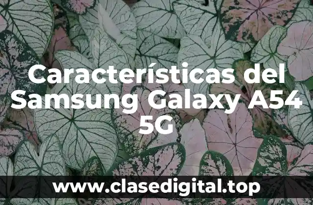Características del Samsung Galaxy A54 5G