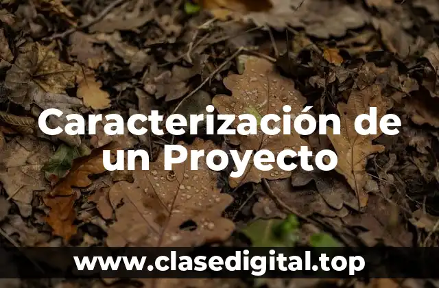 Caracterización de un Proyecto