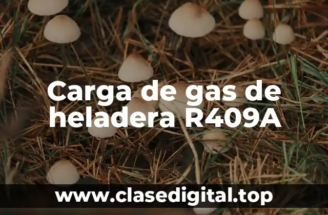 Carga de gas de heladera R409A