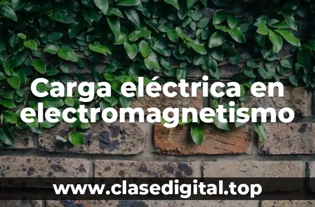 Carga eléctrica en electromagnetismo