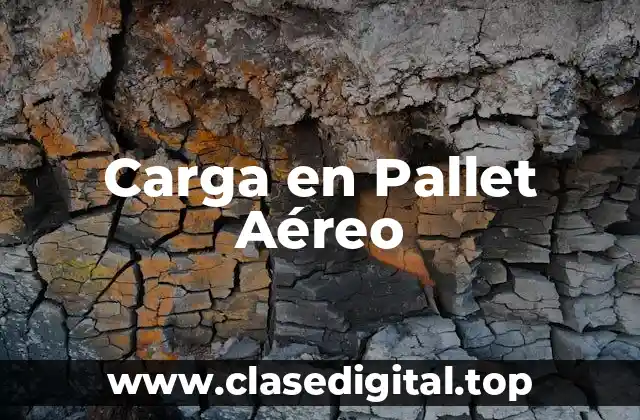 Carga en Pallet Aéreo