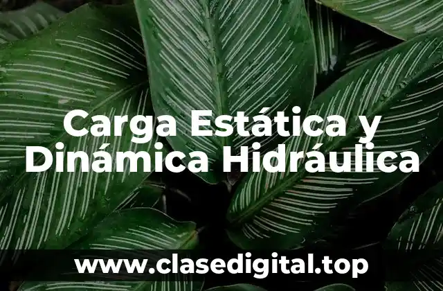 Ejemplos de carga hidráulica