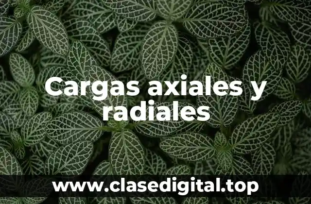 Cargas axiales y radiales