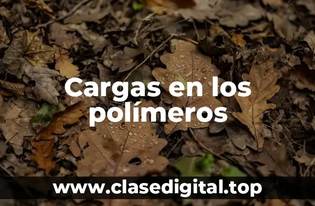 Cargas en los polímeros