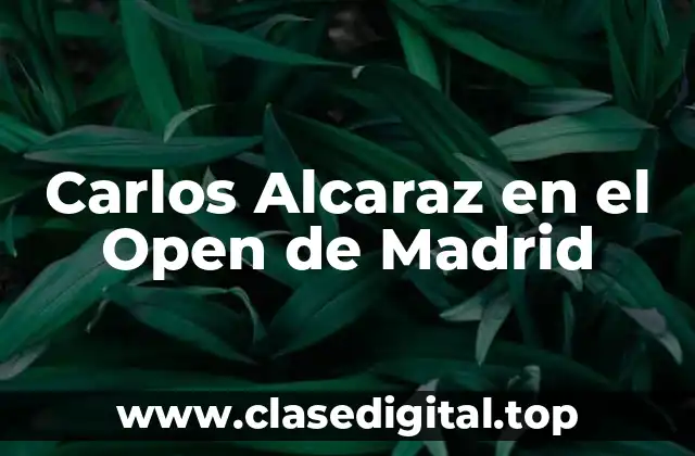 Carlos Alcaraz en el Open de Madrid