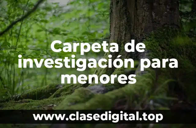 Carpeta de investigación para menores