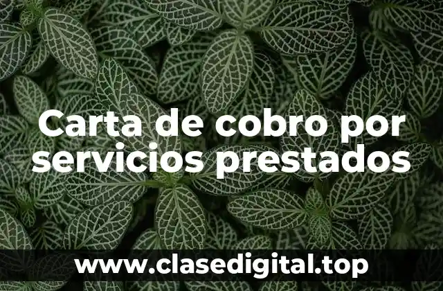 Carta de cobro por servicios prestados