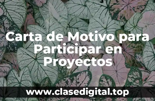 Carta de Motivo para Participar en Proyectos
