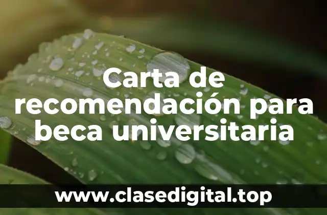 Carta de recomendación para beca universitaria