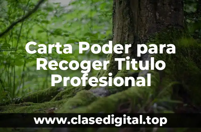 Carta Poder para Recoger Titulo Profesional