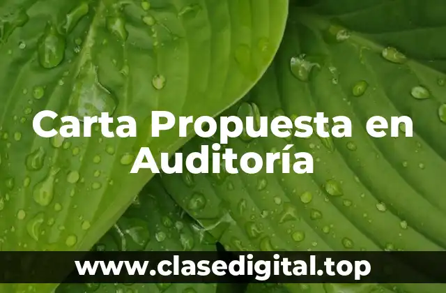 Carta Propuesta en Auditoría
