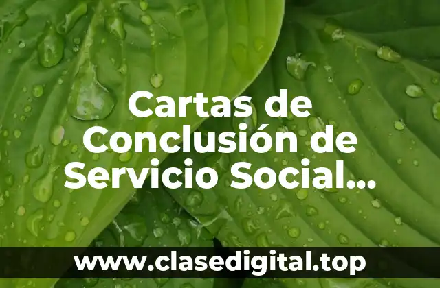 Cartas de Conclusión de Servicio Social UNAM