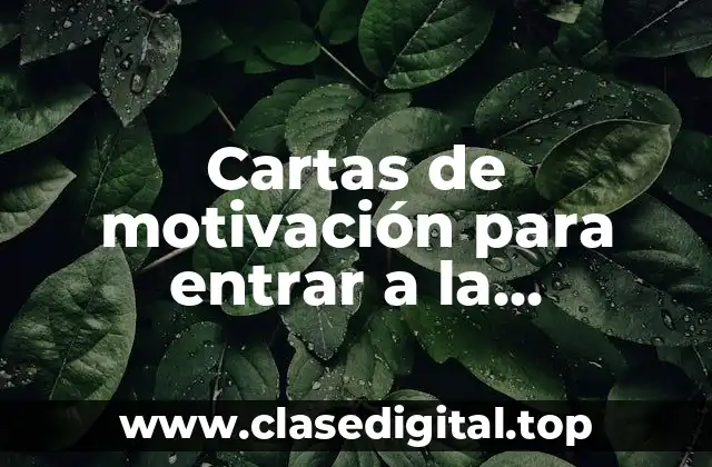 Ejemplos de cartas de motivación para entrar a la universidad