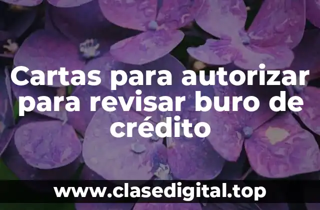 Cartas para autorizar para revisar buro de crédito
