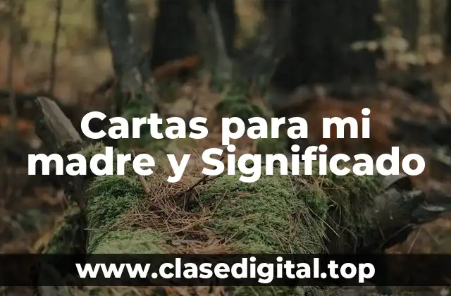 Cartas para mi madre y Significado