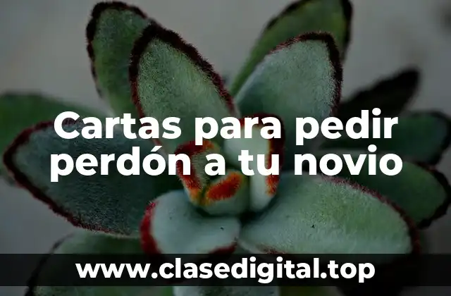 Cartas para pedir perdón a tu novio