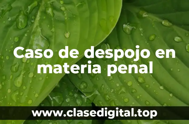 Caso de despojo en materia penal