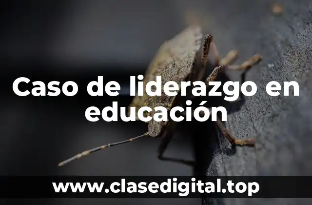 Caso de liderazgo en educación