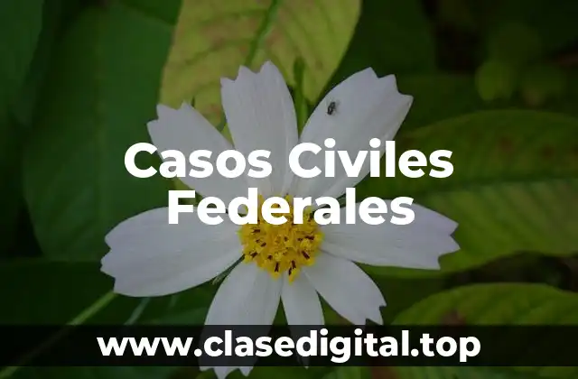 Casos Civiles Federales