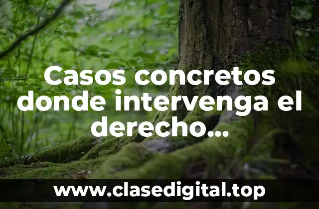 Casos concretos donde intervenga el derecho internacional privado y Significado