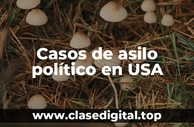 Casos de asilo político en USA