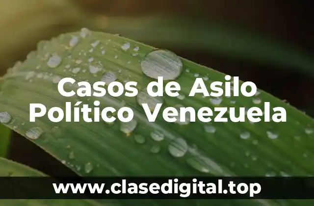 Casos de Asilo Político Venezuela