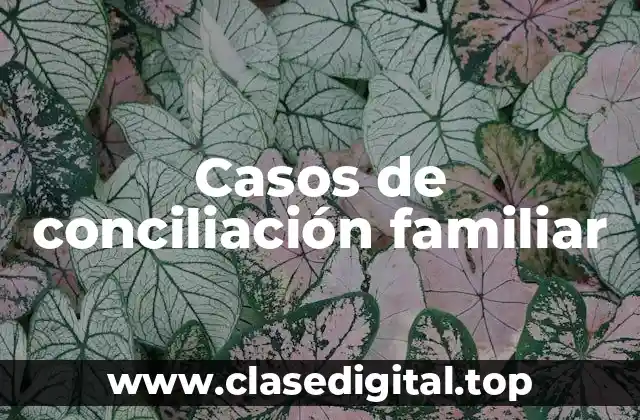 Ejemplos de conciliación familiar