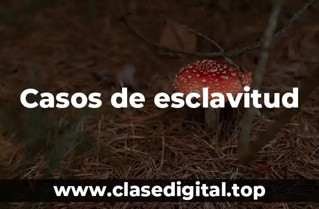 Ejemplos de esclavitud