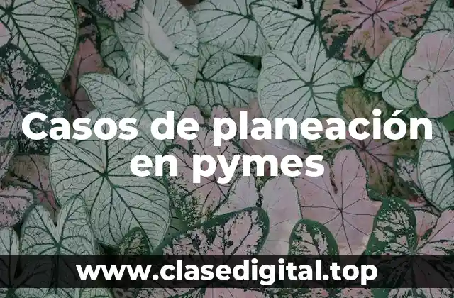 Casos de planeación en pymes