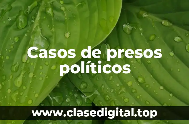 Ejemplos de casos de presos políticos