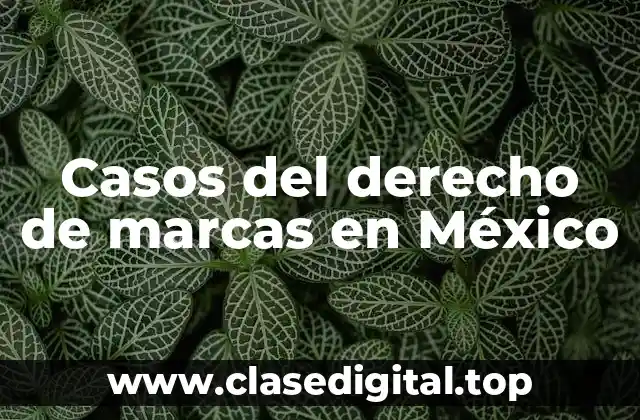 Casos del derecho de marcas en México