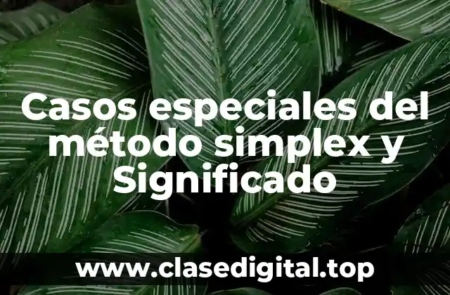Casos especiales del método simplex y Significado