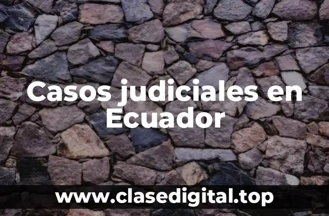 Ejemplos de casos judiciales en Ecuador