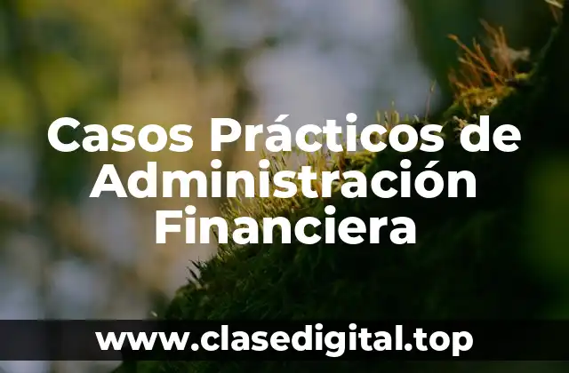 Ejemplos de administración financiera