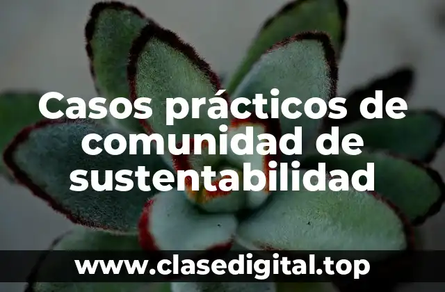 Casos prácticos de comunidad de sustentabilidad