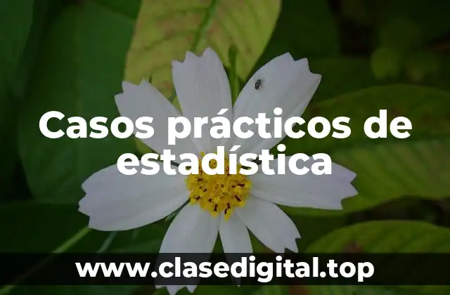 Casos prácticos de estadística