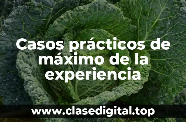Ejemplos de máximo de la experiencia