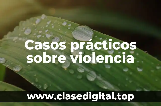 Casos prácticos sobre violencia