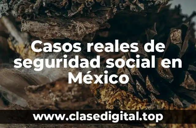 Casos reales de seguridad social en México
